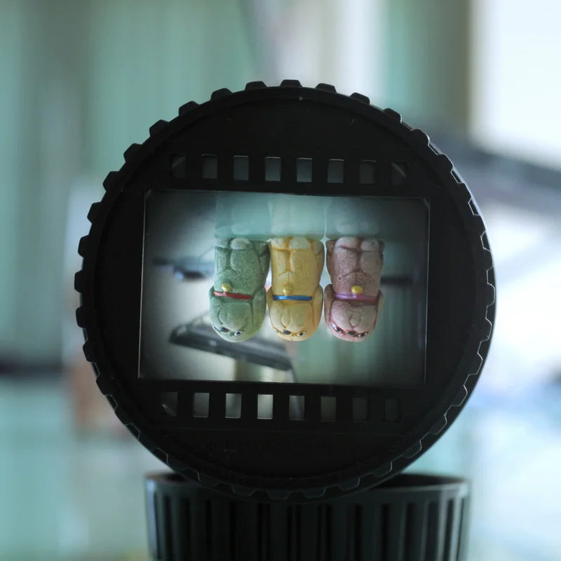 camera imaging lens covers E-mount Live view len protect cap Playfulness interest funny image lens's back cover M-mount  cameras